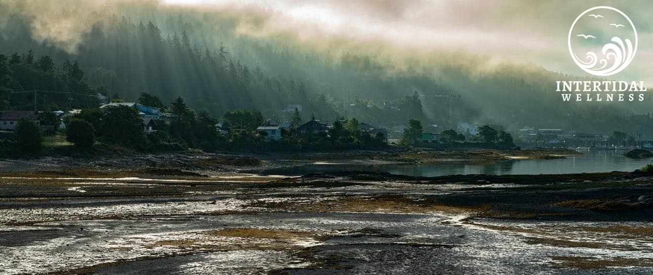 Archive photograph: INTERTIDAL WELLNESS