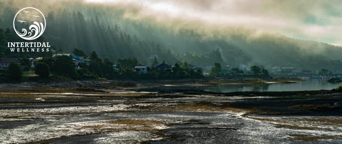 Archive photograph: Intertidal Wellness
