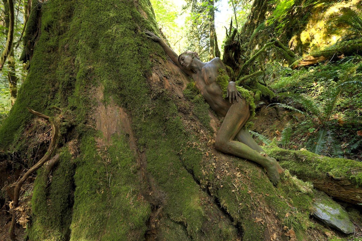 Archive photograph: The final image of Marie camouflaged into the cedar at Goldstream Provincial Park. Painted by Filippo Ioco. (📸 Alex Barendregt)