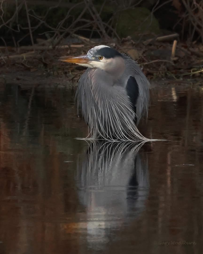 Archive photograph