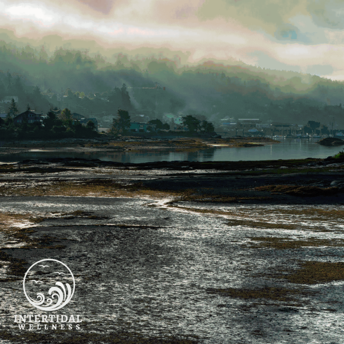 Archive photograph: Intertidal Wellness